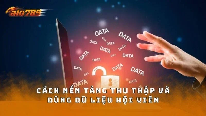 Cách nền tảng thu thập và dùng thông tin minh bạch