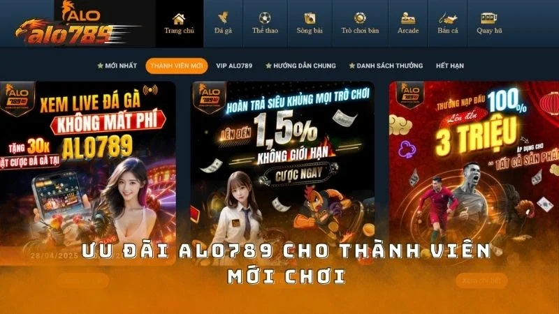 Các chương trình hấp dẫn dành cho thành viên mới chơi