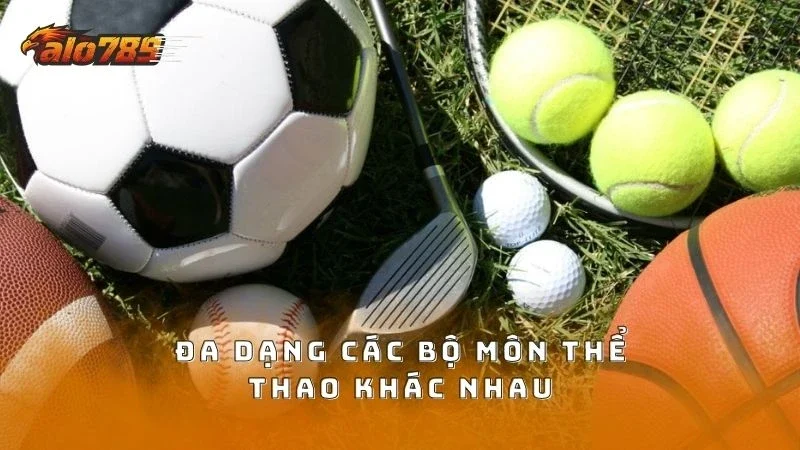 Cung cấp đa dạng các môn thể thao đang hot hiện nay