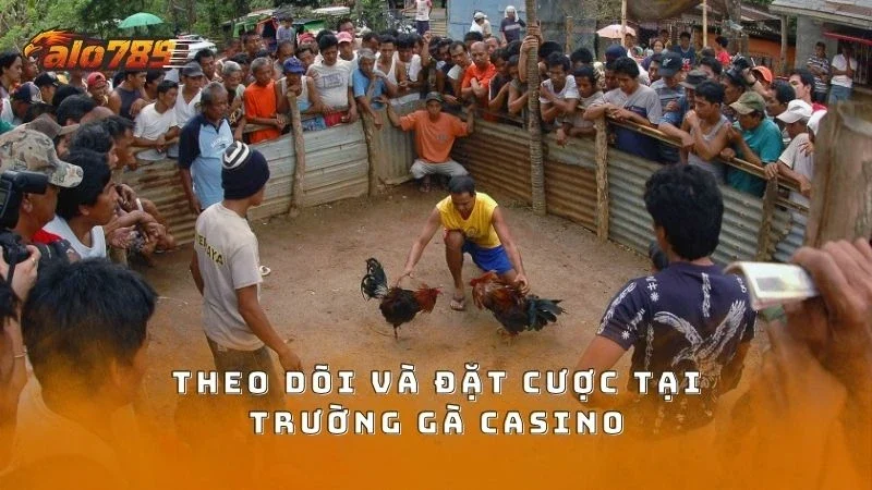 Theo dõi và đặt cược thông minh để tăng cơ hội thắng