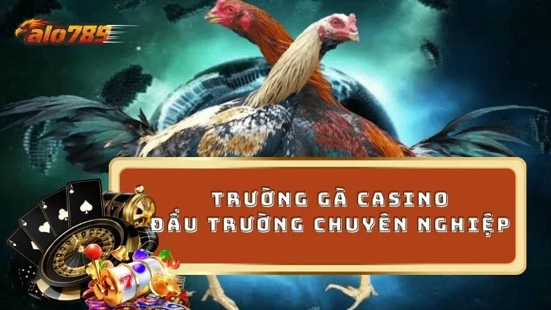 Chinh phục trường gà casino cực kỳ chuyên nghiệp